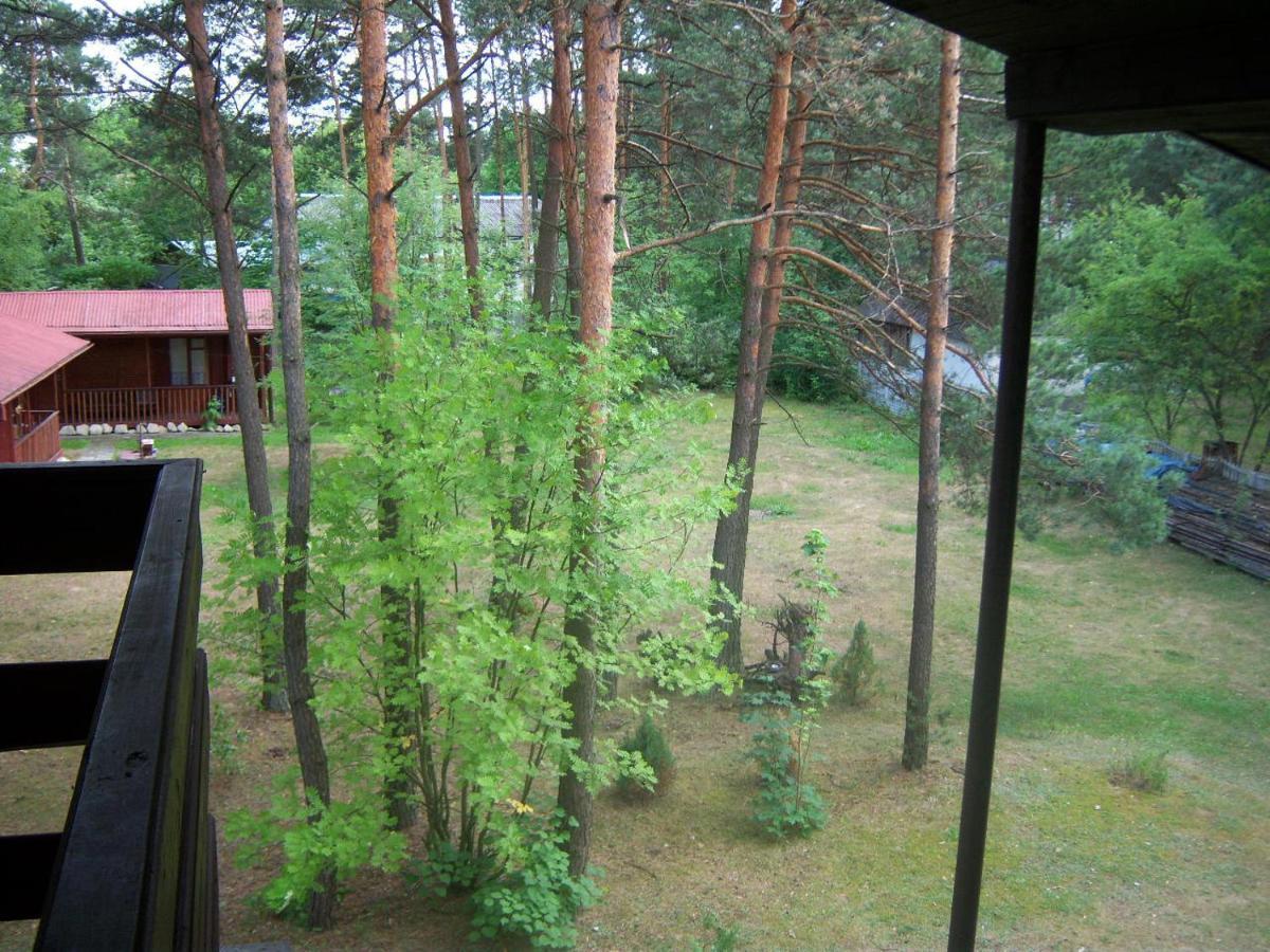 Forest Villa Susiec Extérieur photo