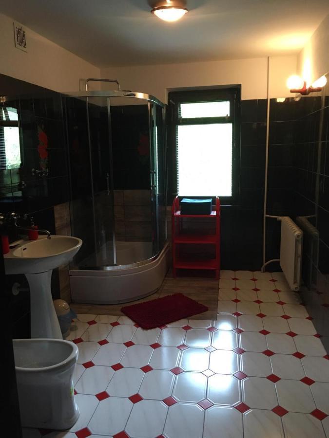 Forest Villa Susiec Extérieur photo