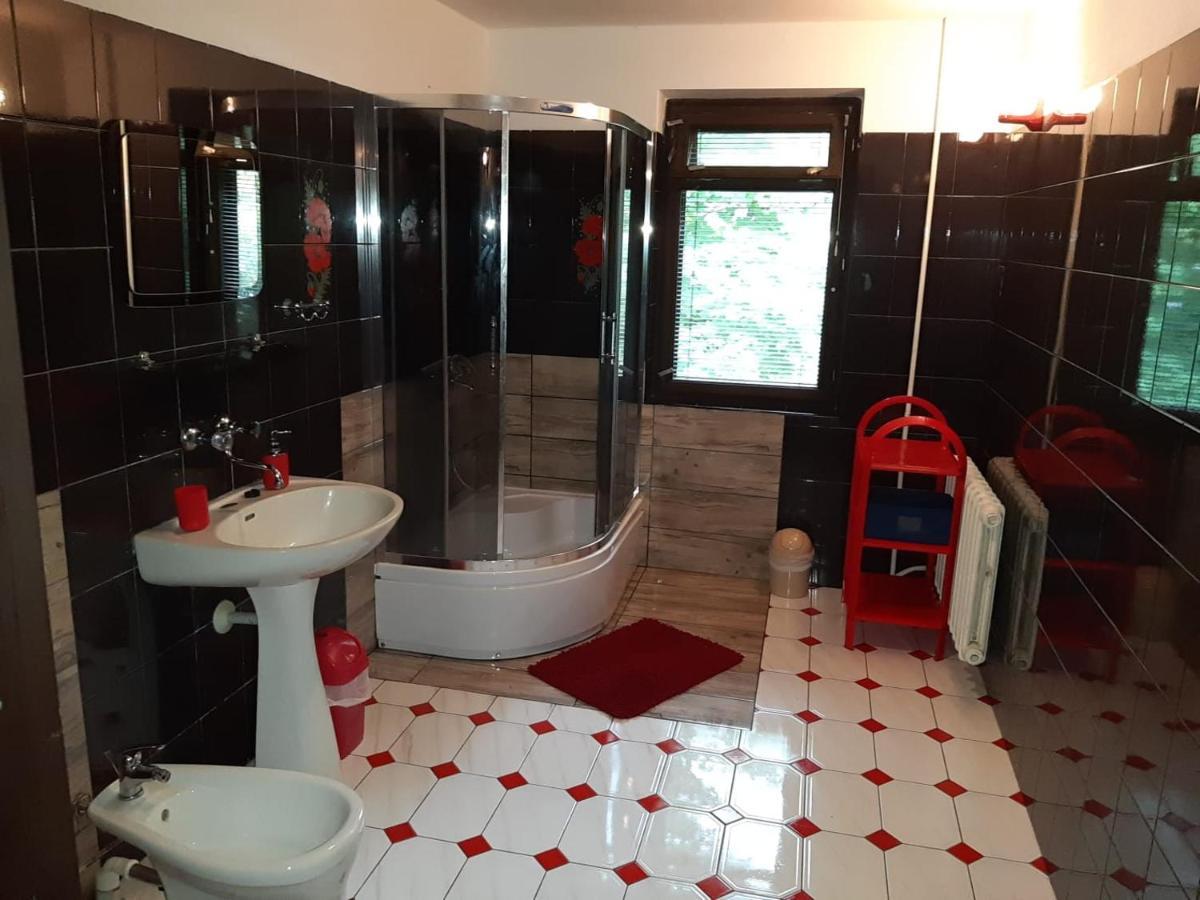 Forest Villa Susiec Extérieur photo